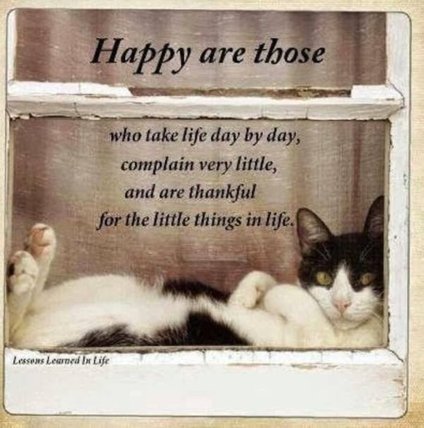 10 Inspiring & Motivating Quotes To Bring Out The Thankfulness Inside You - picture 2