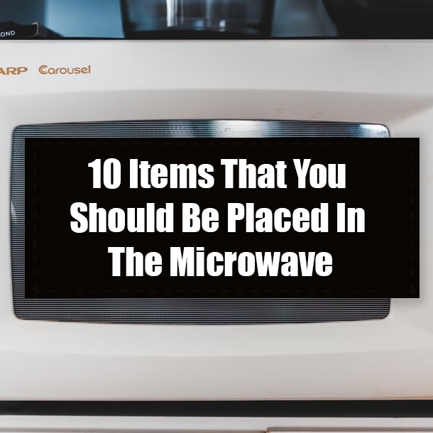10 Items That You Should Be Placed In The Microwave