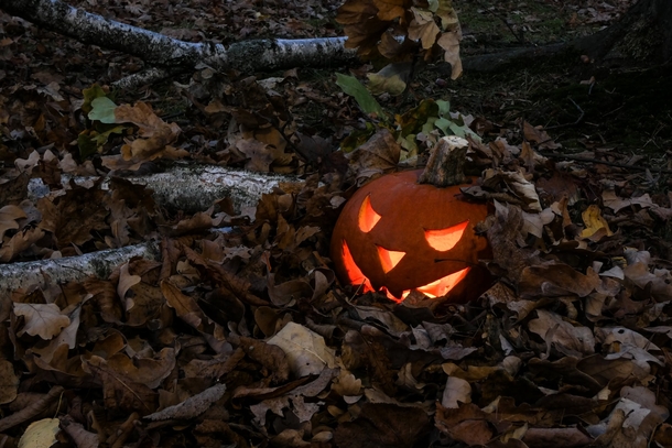 10 Jack O Lantern Ideas For Halloween - picture 7