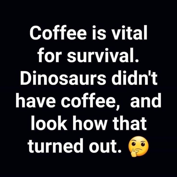 10 Jokes, Humor And Funny Quotes Of The Day - picture 2