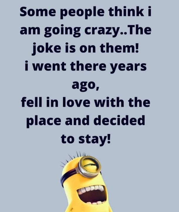 10 Jokes, Humor And Funny Quotes Of The Day - picture 7