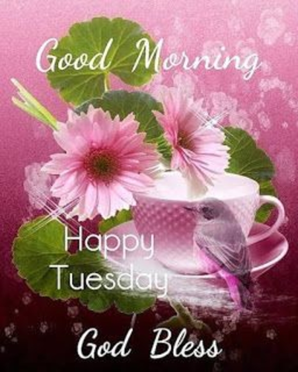 10 Joyful Good Morning Tuesday Images, Quotes And Sayings - picture 2