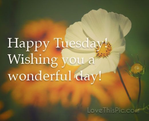 10 Joyful Good Morning Tuesday Images, Quotes And Sayings - picture 4
