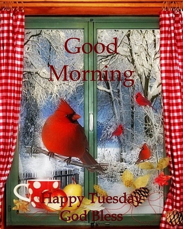 10 Joyful Good Morning Tuesday Images, Quotes And Sayings - picture 5