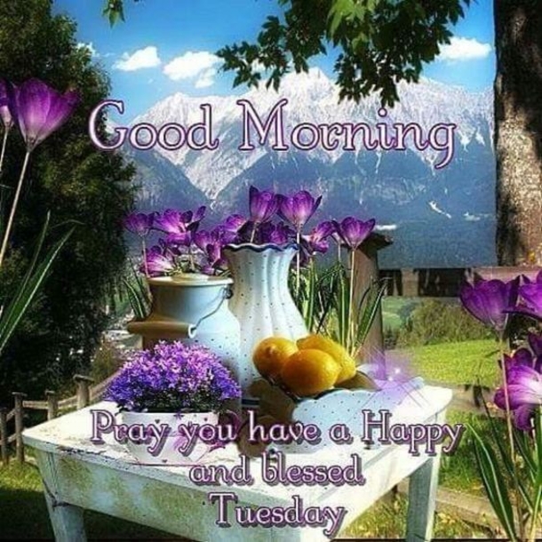 10 Joyful Good Morning Tuesday Images, Quotes And Sayings - picture 6