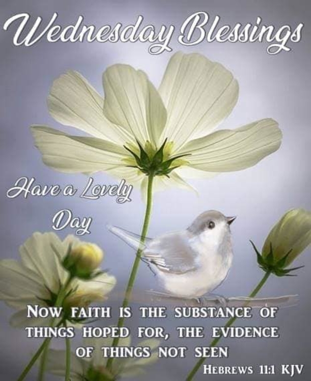 10 Joyous Good Morning Wednesday Quotes - picture 8