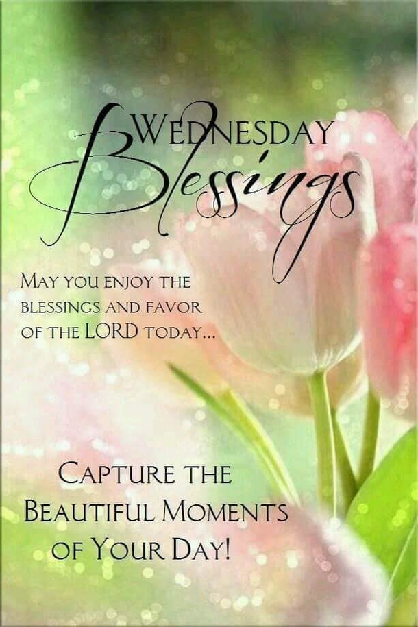 10 Joyous Good Morning Wednesday Quotes - picture 9