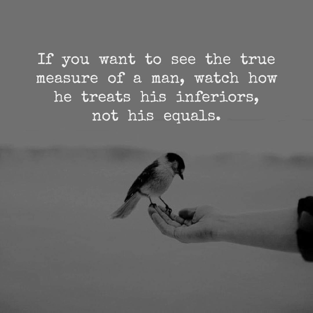 10 Life Lessons Daily That Are Important And Essential - picture 9