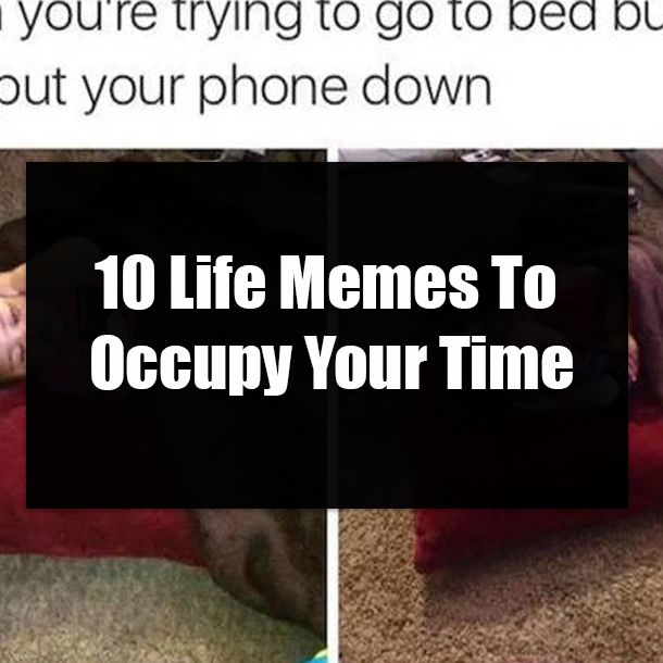 10 Life Memes To Occupy Your Time