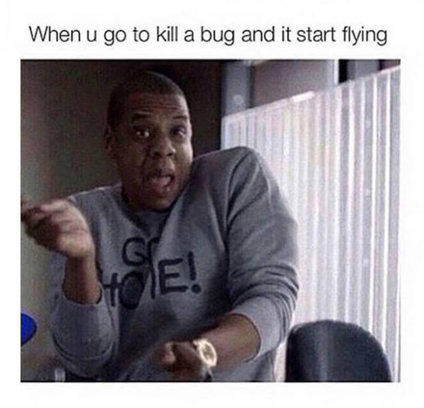 10 Life Memes To Occupy Your Time - picture 2