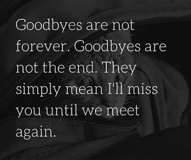10 Life Quotes That Will Help You Cope & Heal When Someone You Love Passes Away - picture 6