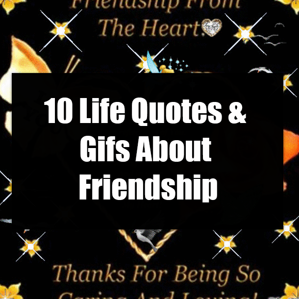 10 Life Quotes & Gifs About Friendship