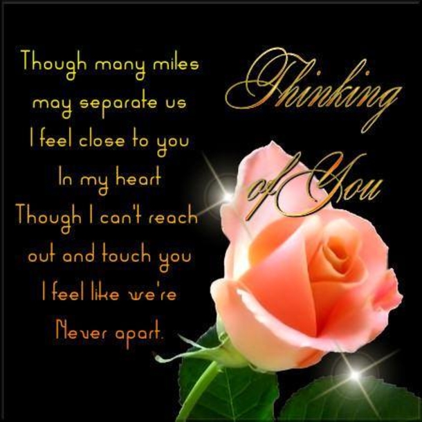 10 Love Images With Quotes For The One You're Always Thinking About - picture 6