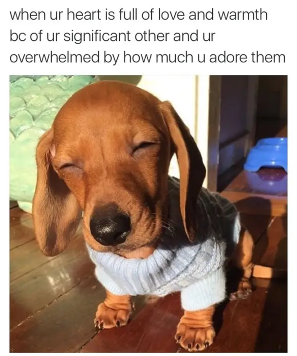 10 Love Memes For Her & Him - picture 6