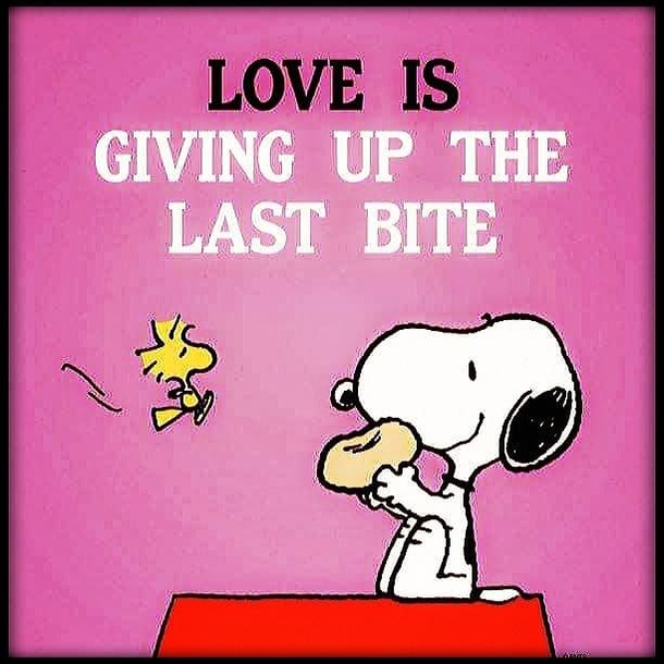 10 Love Pics With Quotes For Those Deeply In Love - picture 2