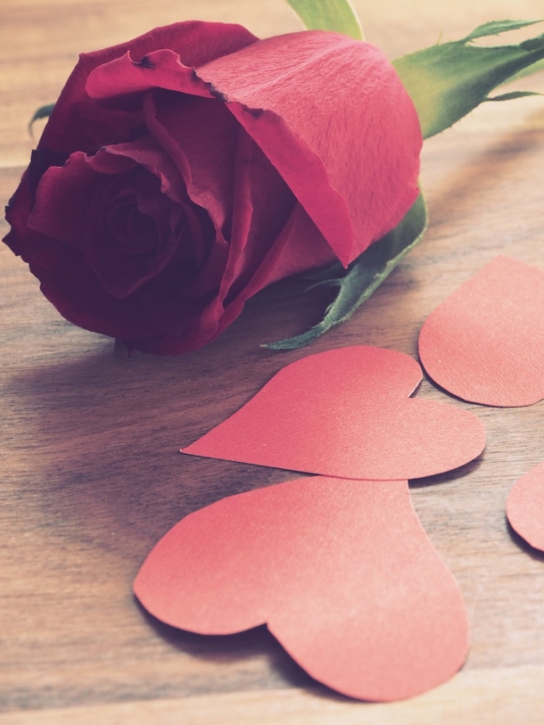 10+ Love Pictures To Share On Valentine's Day - picture 3