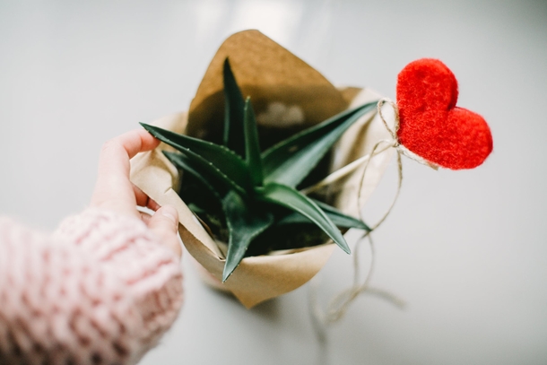 10+ Love Pictures To Share On Valentine's Day - picture 6