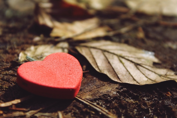 10+ Love Pictures To Share On Valentine's Day - picture 8