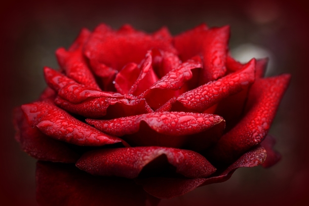 10 Love Pictures & Images To Match Your Romantic Mood - picture 12