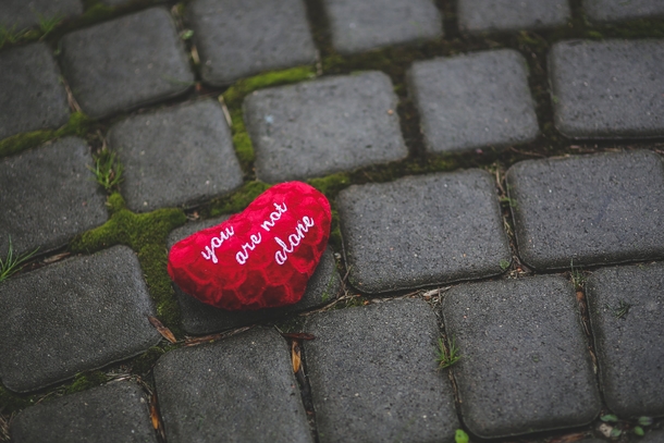 10 Love Pictures & Images To Match Your Romantic Mood - picture 3