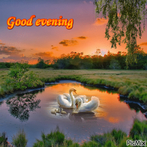 10 Lovely Good Evening Gifs To Share - picture 11