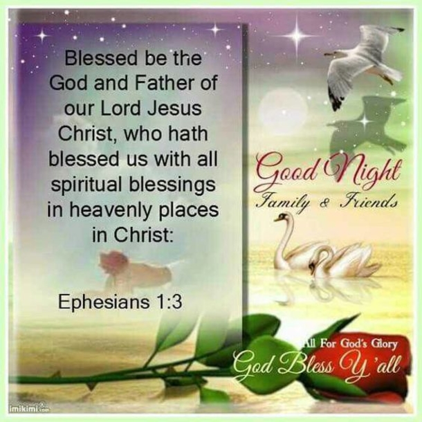10+ Lovely Good Evening / Good Night Images With Quotes - picture 12