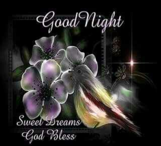 10+ Lovely Good Evening / Good Night Images With Quotes - picture 14