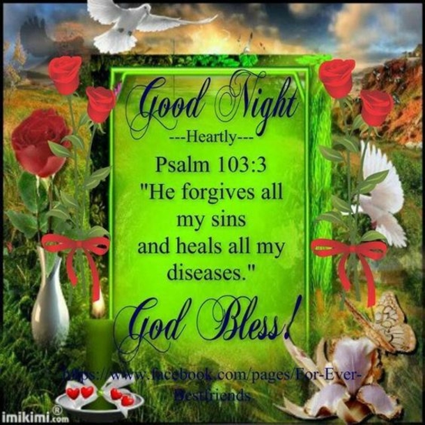 10+ Lovely Good Evening / Good Night Images With Quotes - picture 2