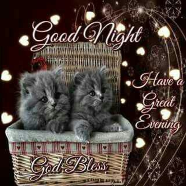 10+ Lovely Good Evening / Good Night Images With Quotes - picture 4