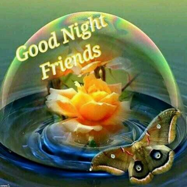 10+ Lovely Good Evening / Good Night Images With Quotes - picture 5