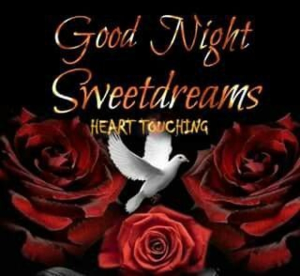 10+ Lovely Good Evening / Good Night Images With Quotes - picture 7