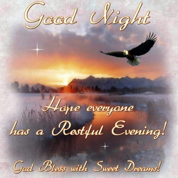 10 Lovely Good Evening / Good Night Quotes - picture 4