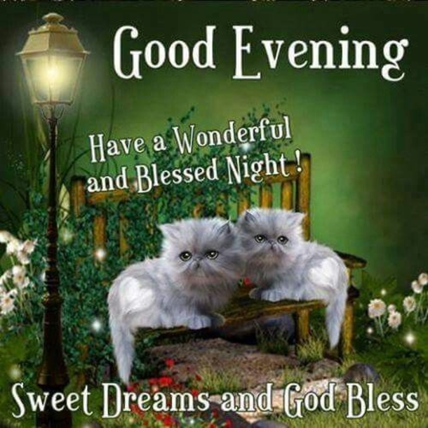 10 Lovely Good Evening / Good Night Quotes - picture 6