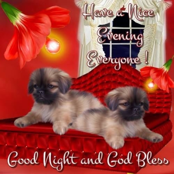 10 Lovely Good Evening Images - picture 10
