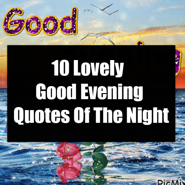 10 Lovely Good Evening Quotes Of The Night