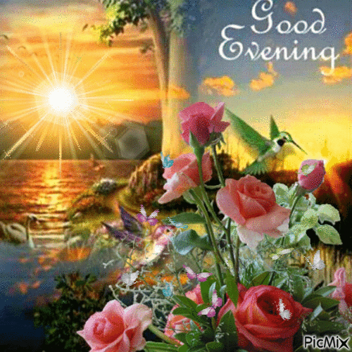 10 Lovely Good Evening Quotes Of The Night - picture 2