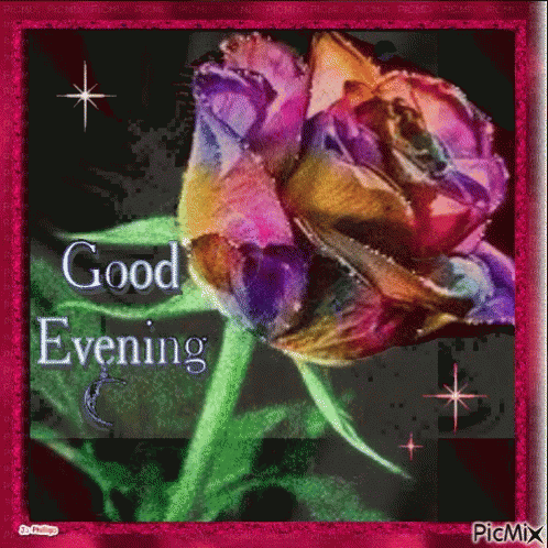 10 Lovely Good Evening Quotes Of The Night - picture 4