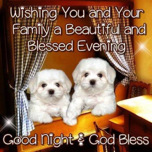 10 Lovely Good Evening Quotes, Sayings And Wishes - picture 2
