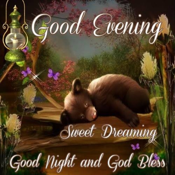 10 Lovely Good Evening Quotes, Sayings And Wishes - picture 5