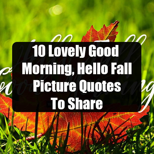 10 Lovely Good Morning, Hello Fall Picture Quotes To Share