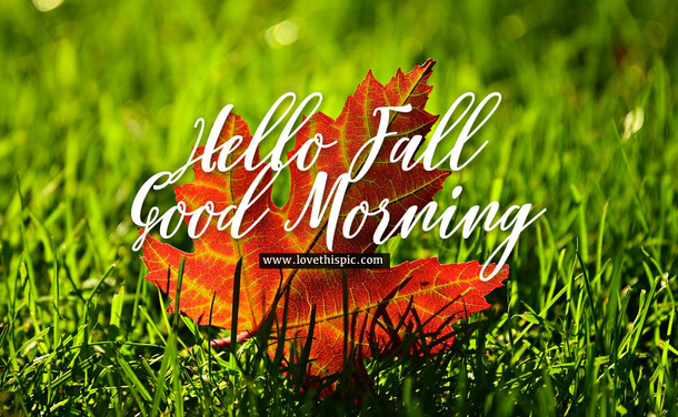 10 Lovely Good Morning, Hello Fall Picture Quotes To Share - picture 2