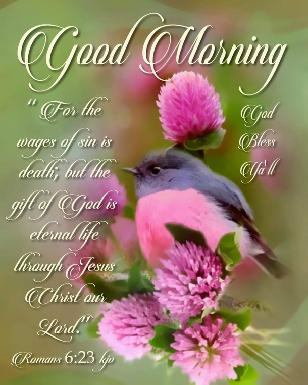 10 Lovely Good Morning Images With Quotes - picture 10