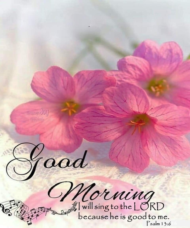 10 Lovely Good Morning Images With Quotes - picture 7
