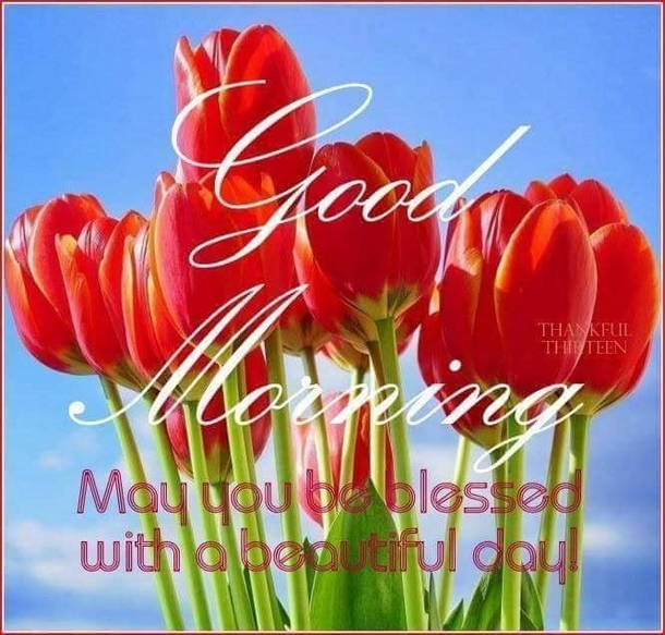 10 Lovely Good Morning Images With Quotes - picture 8