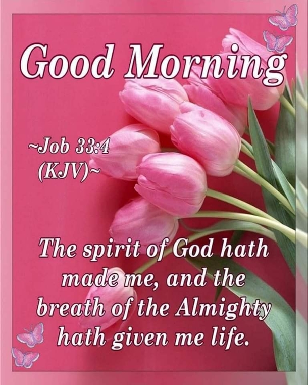 10 Lovely Good Morning Images With Quotes - picture 9