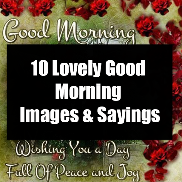 10 Lovely Good Morning Images & Sayings