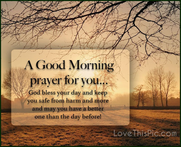 10 Lovely Good Morning Pictures And Quotes - picture 7