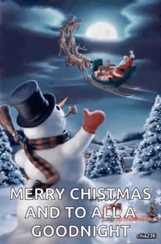 10 Lovely Good Night Merry Christmas Quotes, Sayings And Wishes - picture 8