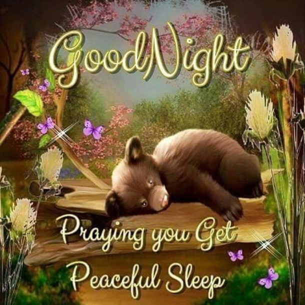 10 Lovely Good Night Quotes To End Your Day - picture 6