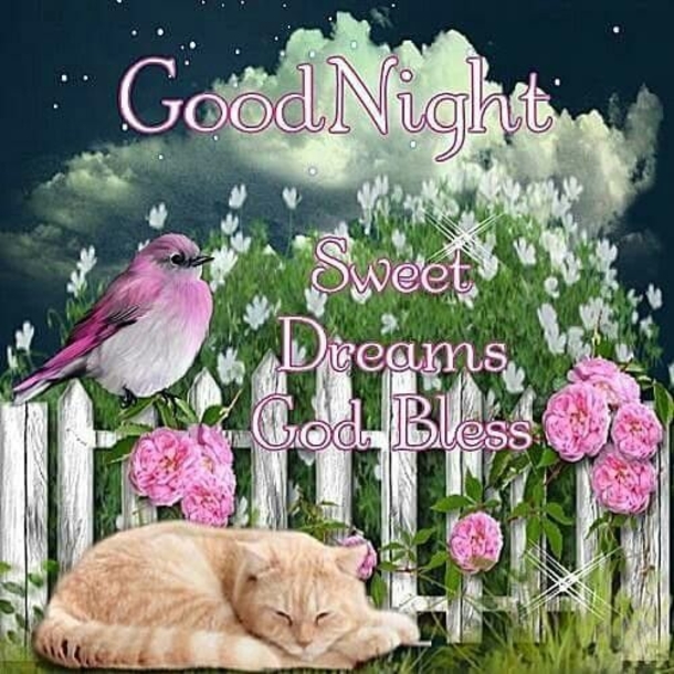 10 Lovely Good Night Quotes To End Your Day - picture 9